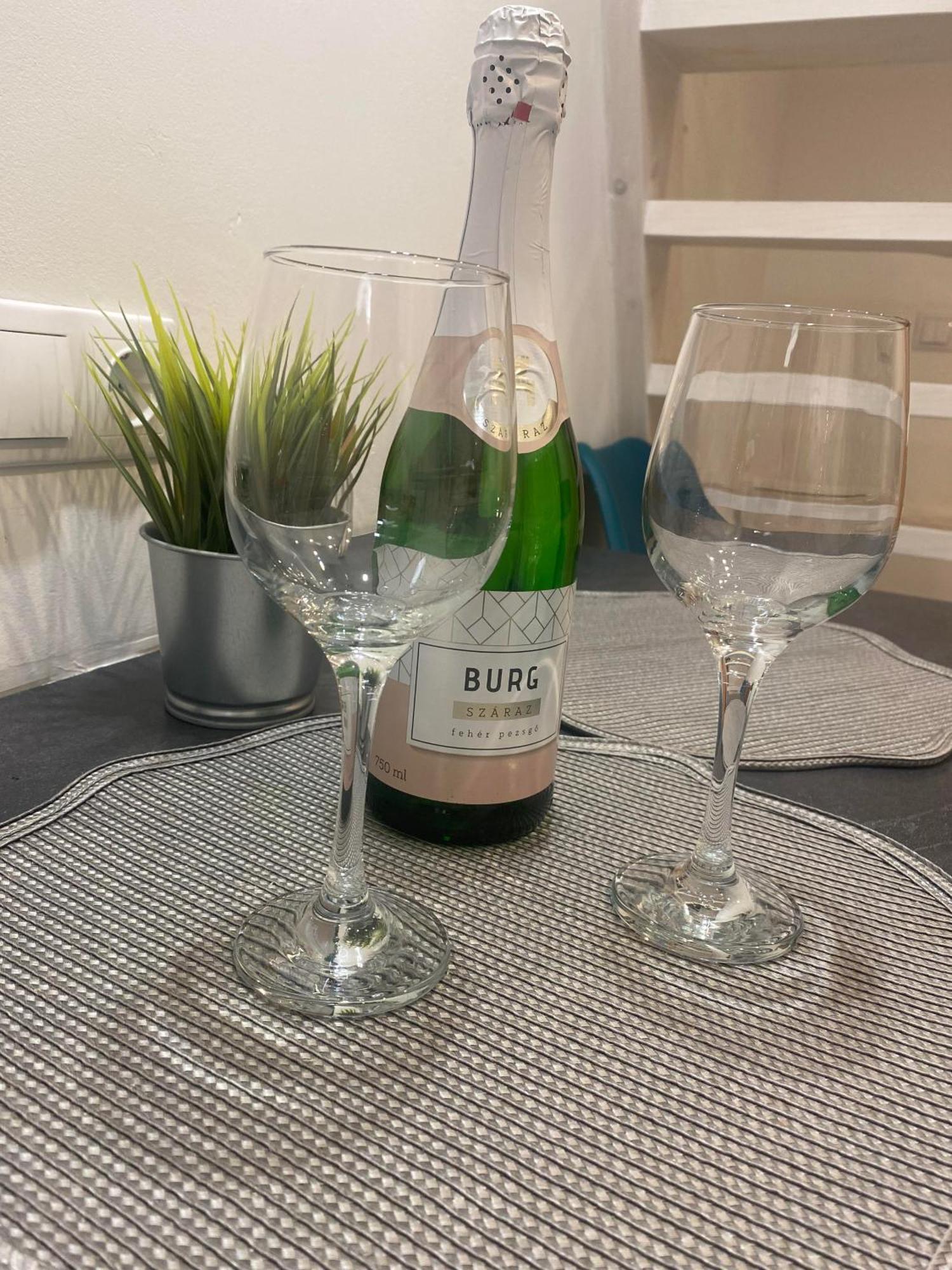 Downtown Mini Apartment Budapeszt Zewnętrze zdjęcie